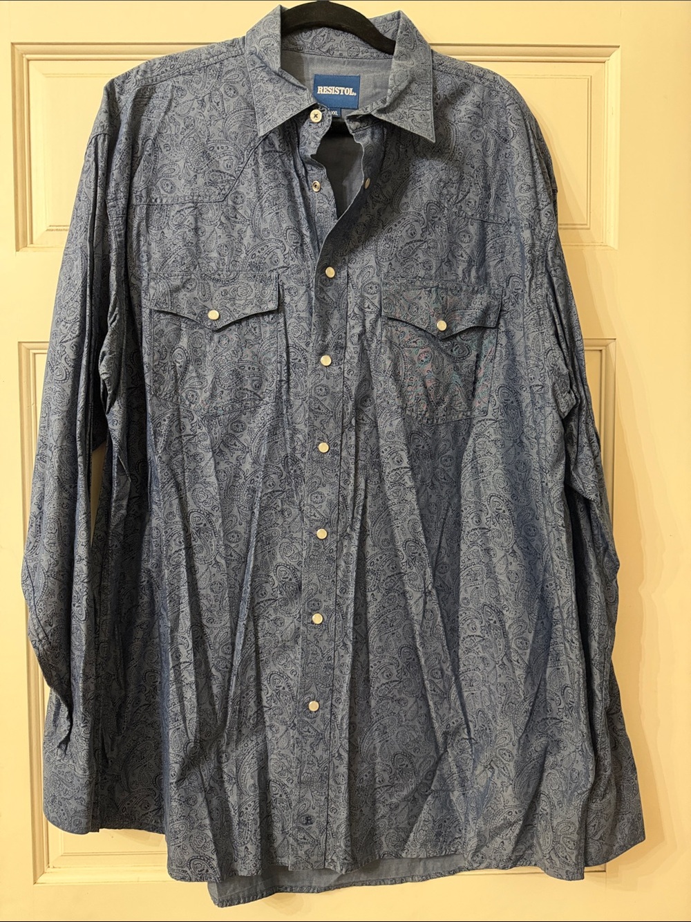 Resistol Men’s Blue Paisley Button-Down Western Shirt